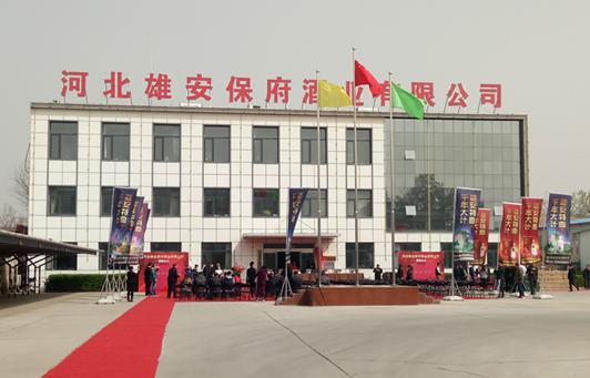打造雄安新區(qū)文化名片 這就酒企緣何底氣十足？