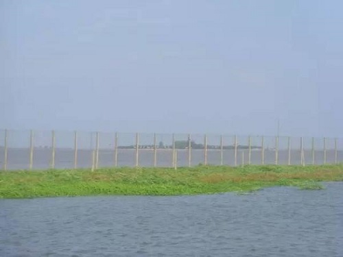 a8f8016abbe1ce78ca36232c9ef94f0e115987.jpg 圖片4.jpg