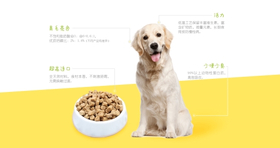 首頁-PC端-1_10(2)