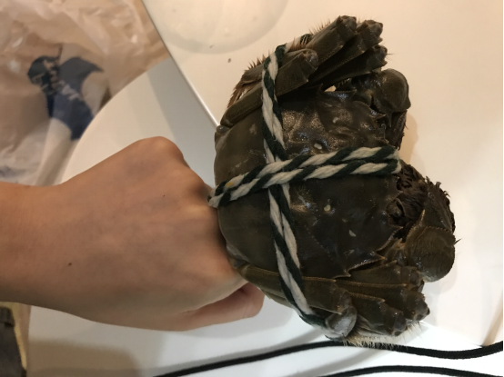 QQ圖片20180817105551.png