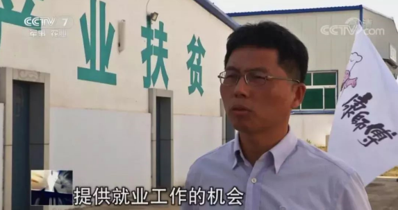 一袋方便面蔬菜包，撐起了這個縣的一大產(chǎn)業(yè)-焦點中國網(wǎng)