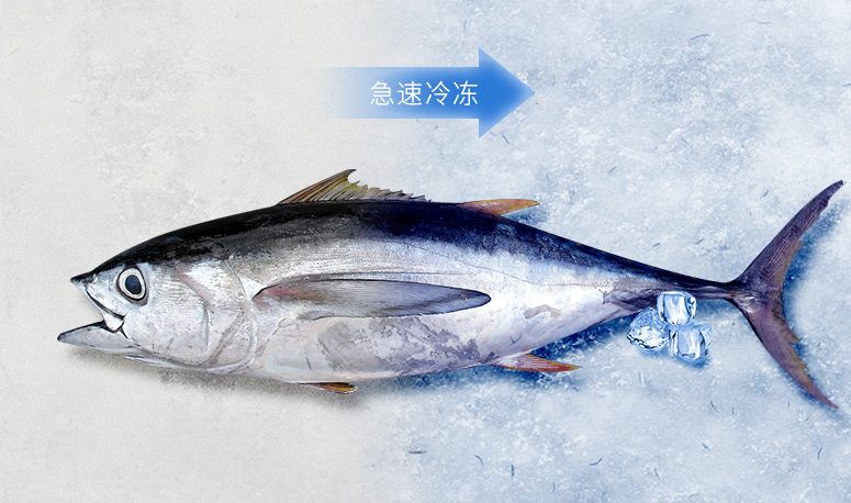 圖片34.png