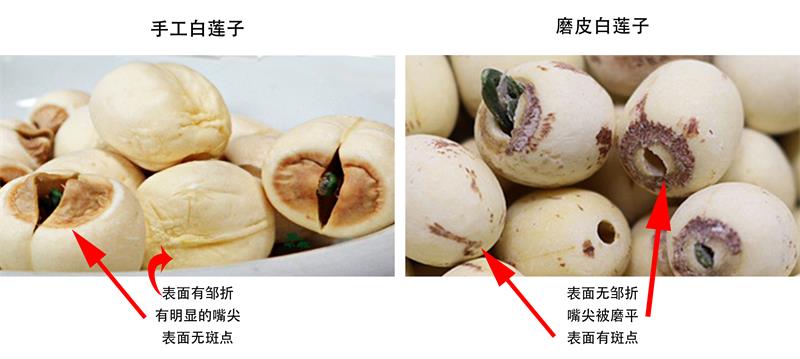 磨皮白蓮子 磨白蓮 磨皮蓮 去芯無心通心鉆芯 清恬紅糯原味香甜 圓粒湘蓮寸三蓮 尚品蓮皇產(chǎn)地批發(fā)供應(yīng)