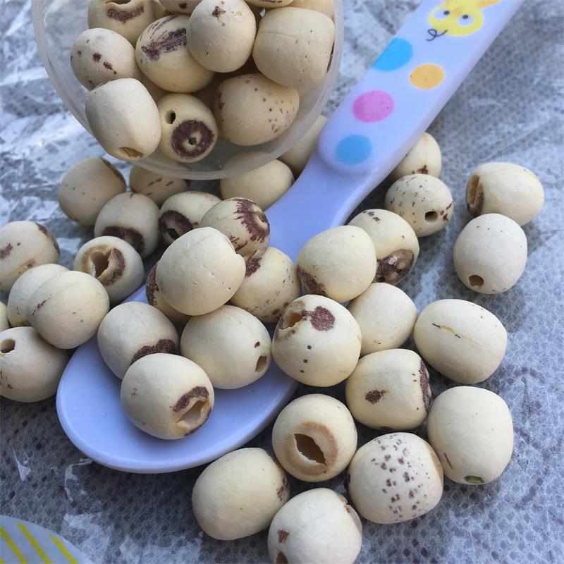 磨皮白蓮子 磨白蓮 磨皮蓮 去芯無心通心鉆芯 清恬紅糯原味香甜 圓粒湘蓮寸三蓮 尚品蓮皇產(chǎn)地批發(fā)供應(yīng)