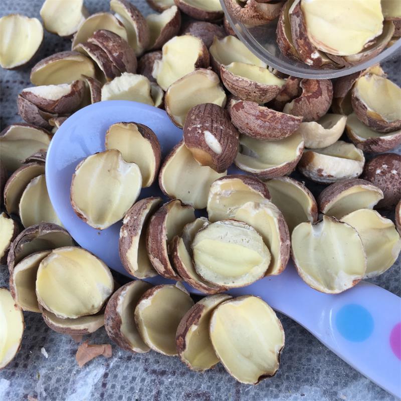 紅蓮子半邊開邊蓮子 清恬紅糯原味香甜 湘蓮寸三蓮 尚品蓮皇產(chǎn)地批發(fā)供應(yīng)