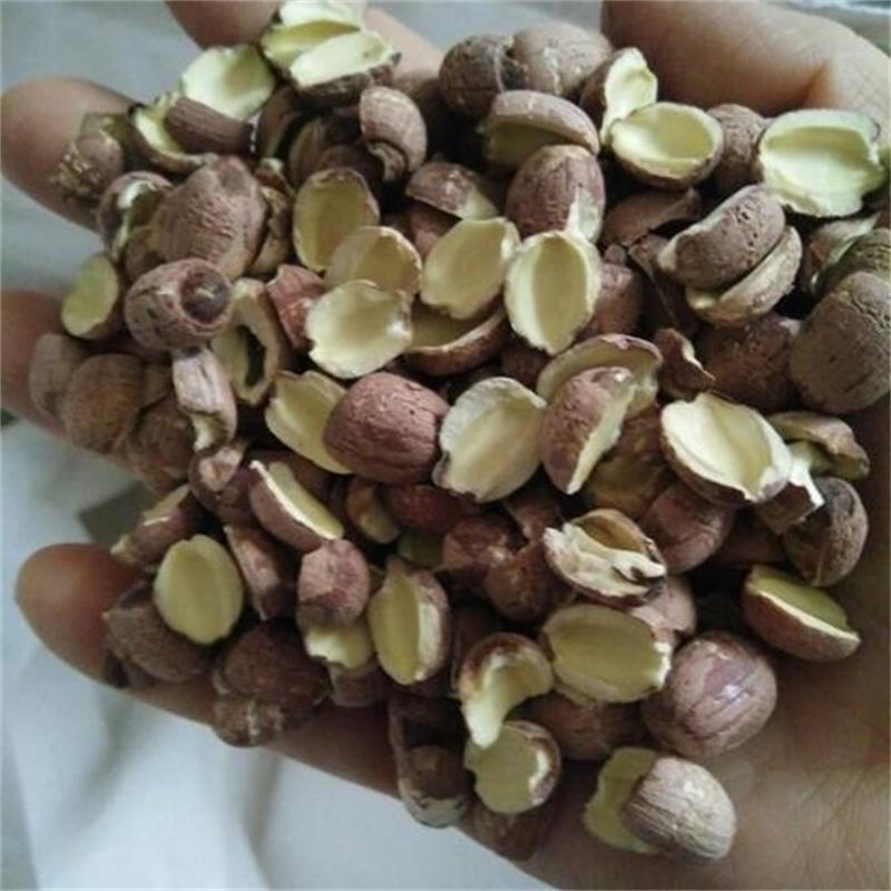 紅蓮子半邊開邊蓮子 清恬紅糯原味香甜 湘蓮寸三蓮 尚品蓮皇產(chǎn)地批發(fā)供應(yīng)