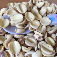 白蓮子半邊開邊蓮子 湘蓮寸三蓮 尚品蓮皇產(chǎn)地批發(fā)供應
