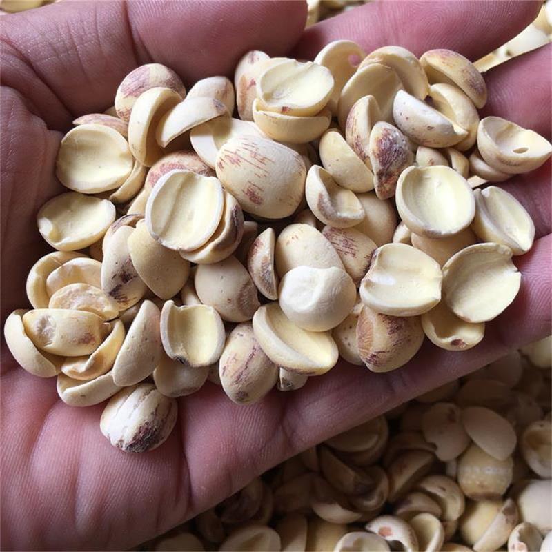 白蓮子半邊開邊蓮子 特級(jí)清恬紅糯原味香甜 湘蓮寸三蓮 尚品蓮皇產(chǎn)地批發(fā)供應(yīng)