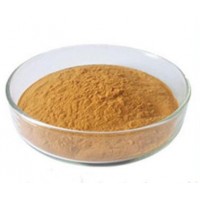批發(fā)供應食品級茶多酚 抗氧化劑