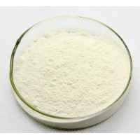 大豆分離蛋白價格 大豆分離蛋白廠家