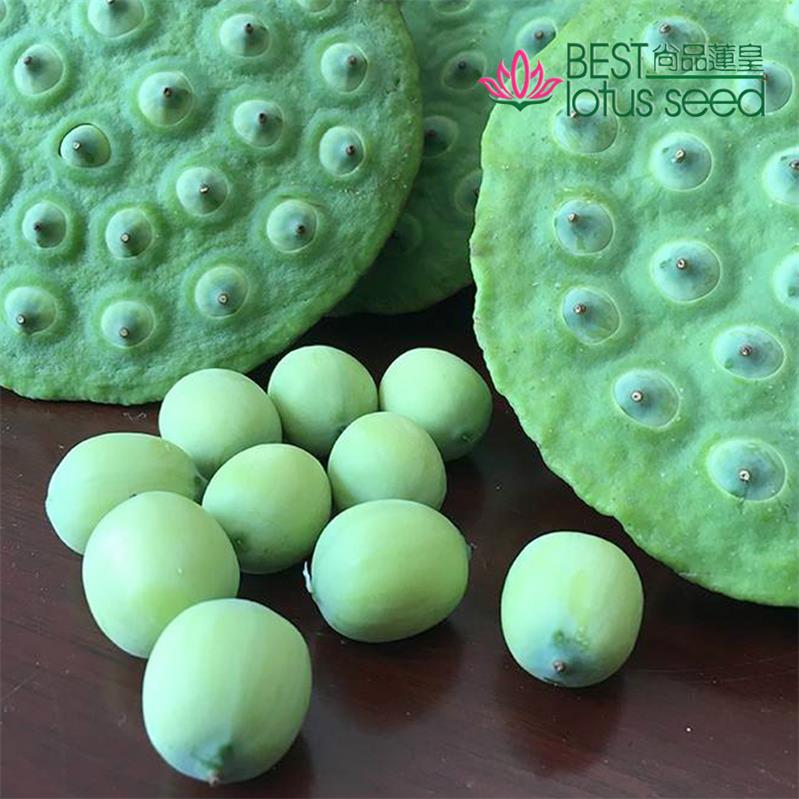 新鮮蓮蓬 嫩水果蓮子 草蓮子老蓮子 湘蓮寸三蓮 尚品蓮皇產(chǎn)地批發(fā)供應(yīng)