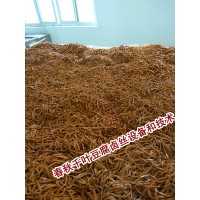 休閑千頁豆腐絲生產(chǎn)設(shè)備，山東生產(chǎn)加工麻辣千頁豆腐絲廠家