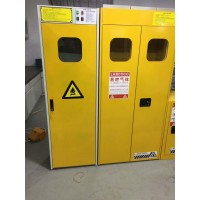 氣瓶柜報警裝置-全鋼雙氣瓶柜防爆氣瓶柜-北京信凱