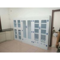 北京廠家直銷、PP器皿柜、玻璃器皿柜，現(xiàn)貨供應(yīng)