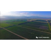 優(yōu)質(zhì)紅酒大酒莊——寧夏賀蘭神酒莊