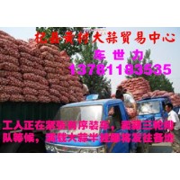 常年供應(yīng)杞縣印尼蒜、扒米蒜及脫水蒜
