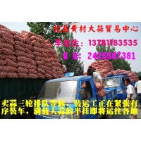 供應(yīng)杞縣蒜米料，質(zhì)優(yōu)價(jià)廉---杞縣黃村大蒜貿(mào)易中心