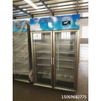 雙開(kāi)門酸奶機(jī)多功能商用酸奶機(jī)