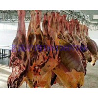 批量現(xiàn)貨進(jìn)口蒙古馬肉天然草原放養(yǎng)活馬屠宰新鮮凍馬肉