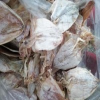 大號燒烤魷魚干  1箱20斤散裝 KTV海鮮干貨