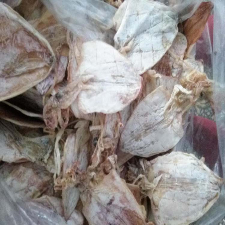 魷魚干