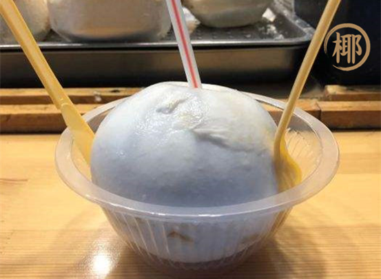 椰子日記