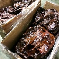 工廠直銷 湖南醬板鴨批發(fā) 長沙益陽特色小吃熟食