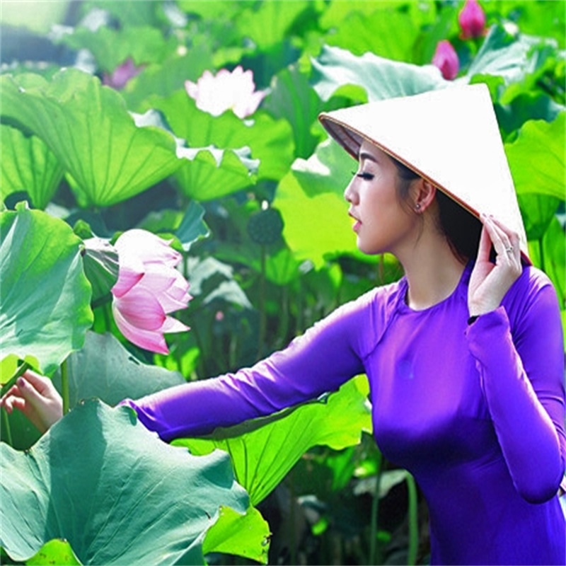 供應(yīng)鮮荷花蓮花束，尚品蓮皇16670790853