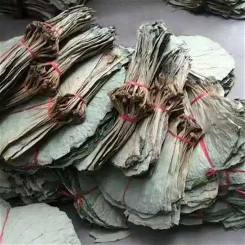 尚品蓮皇大量供應(yīng)優(yōu)質(zhì)干荷葉，鮮荷葉，食品包裝及中藥用途。聯(lián)系電話：16670790853