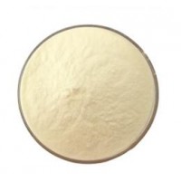 大豆分離蛋白 批發(fā)大豆分離蛋白 乳化劑大豆分離蛋白廠家