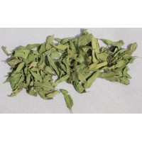 羅布麻提取物
