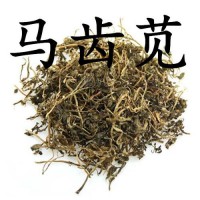 馬齒筧提取物