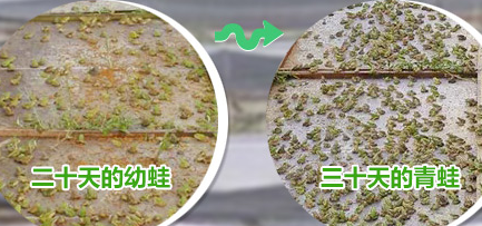 微信圖片_20190919160057.png