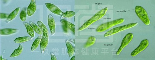 圖片1.jpg