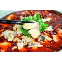 烏江片片魚培訓(xùn)