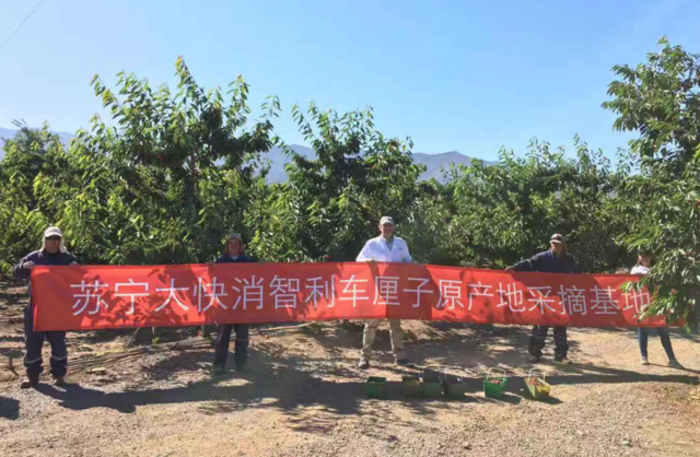 100噸!今冬首批智利車?yán)遄犹K寧快消包機(jī)直采