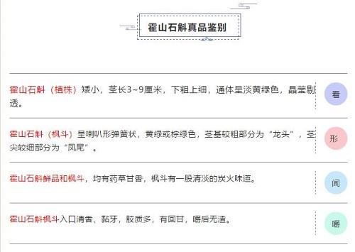 珍稀道地霍山石斛，春節(jié)年禮新選擇