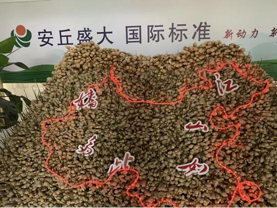 安丘大姜生態(tài)種植解決方案（標(biāo)準(zhǔn)）正式發(fā)布