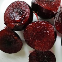 歐李苗品種黑鈣果樹(shù)苗