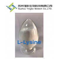 L-賴氨酸56-87-1廠家直銷