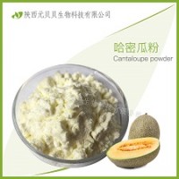 全水溶哈密瓜果汁粉 SC源頭廠家直供口感好壹貝子哈密瓜粉