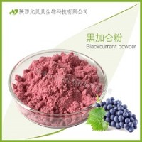 SC源頭廠家直供 黑加侖提取物 壹貝子黑加侖粉