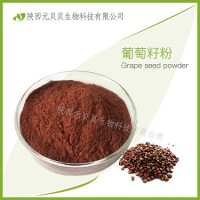 葡萄籽提取物95% SC源頭廠家質量保證包郵 壹貝子葡萄籽粉