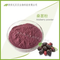 速溶桑葚汁粉噴霧干燥粉SC源頭工廠直供質量好 壹貝子桑葚粉