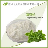 薄荷粉 SC源頭廠家直銷薄荷提取物 純薄荷粉壹貝子薄荷腦粉