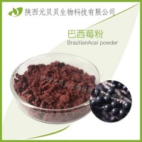 SC源頭廠家直供巴西莓提取物 壹貝子巴西莓果粉