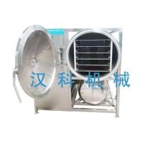 廠家定制低溫凍干機、草莓真空凍干機