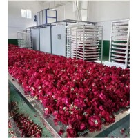 菊花茶茉莉花茶烘干機(jī)，大型隧道烘干機(jī)生產(chǎn)線，玫瑰花茶烘干房