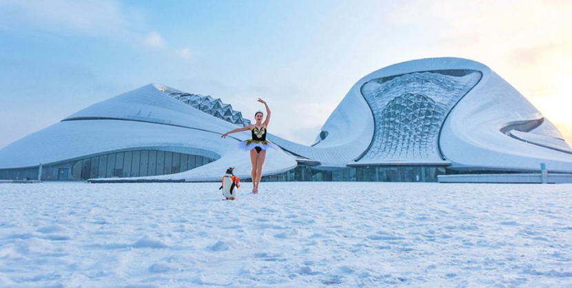 1609812220737062.png image.png