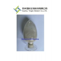 DL-硒代蛋氨酸 1464-42-2 廠家直銷